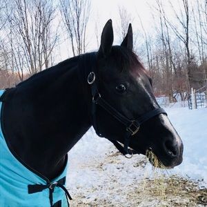 Meet your Posher, Courtney